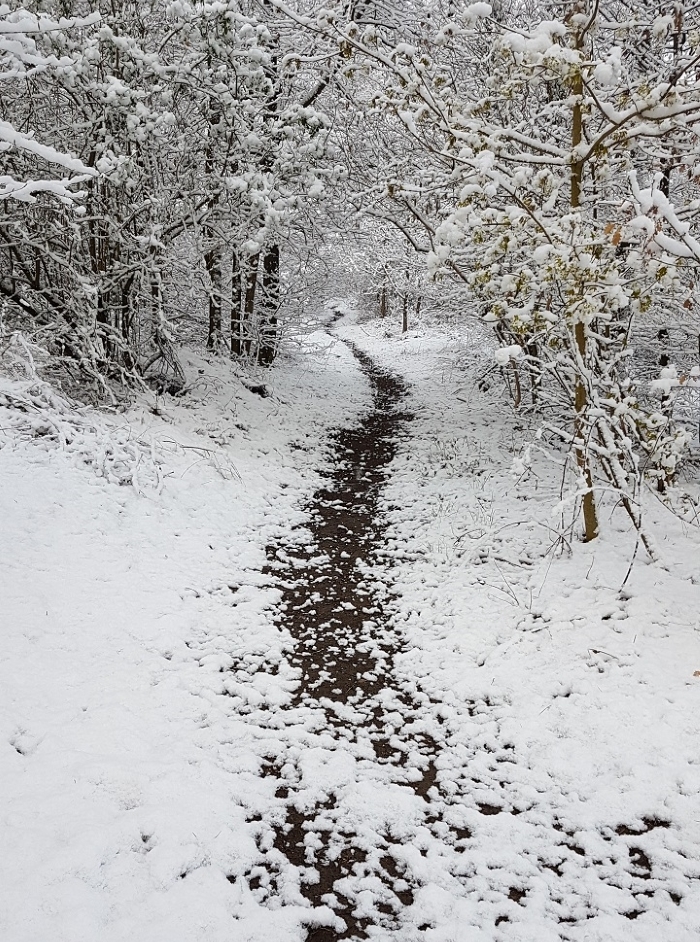 20190414 Hausberg